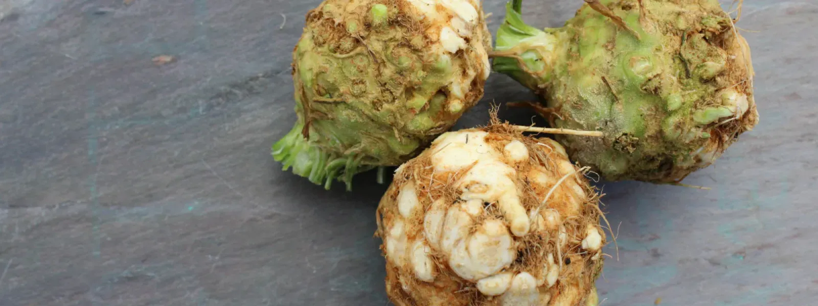 Celeriac_Sept_2020_1600_600_90_s_c1.webp