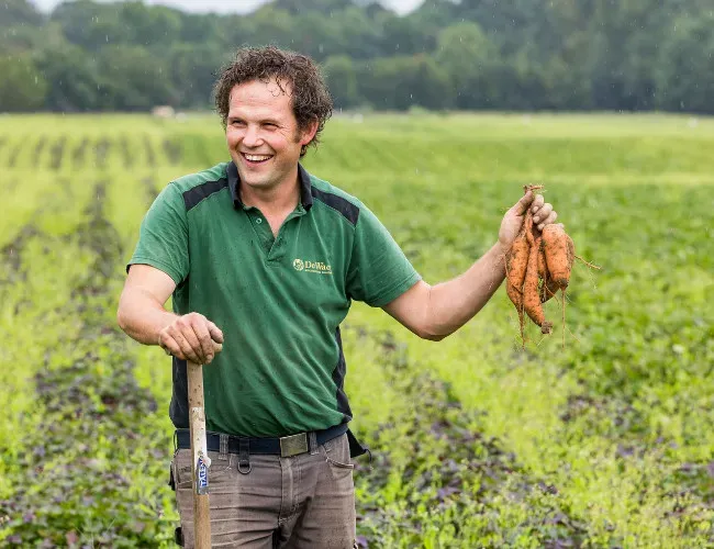 Joep van de Bool