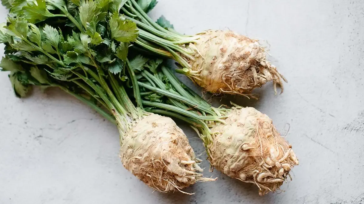 celeriac-1716016436.webp