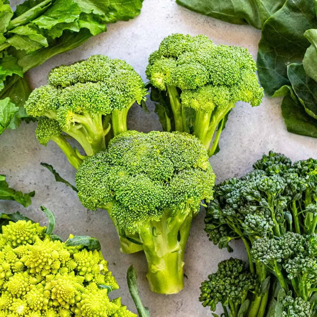 types-of-broccoli-3-1200.webp
